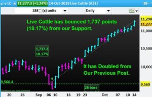 Read more about the article Live Cattle has bounced Up 1,737 points from our Support. It is Double from Previous.