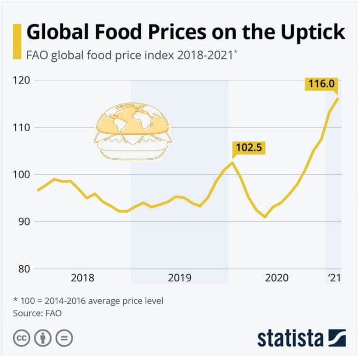 Food Prices, NP Financials