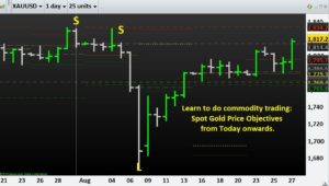Learn to do commodity trading- Spot Gold Price Objectives from Today onwards.