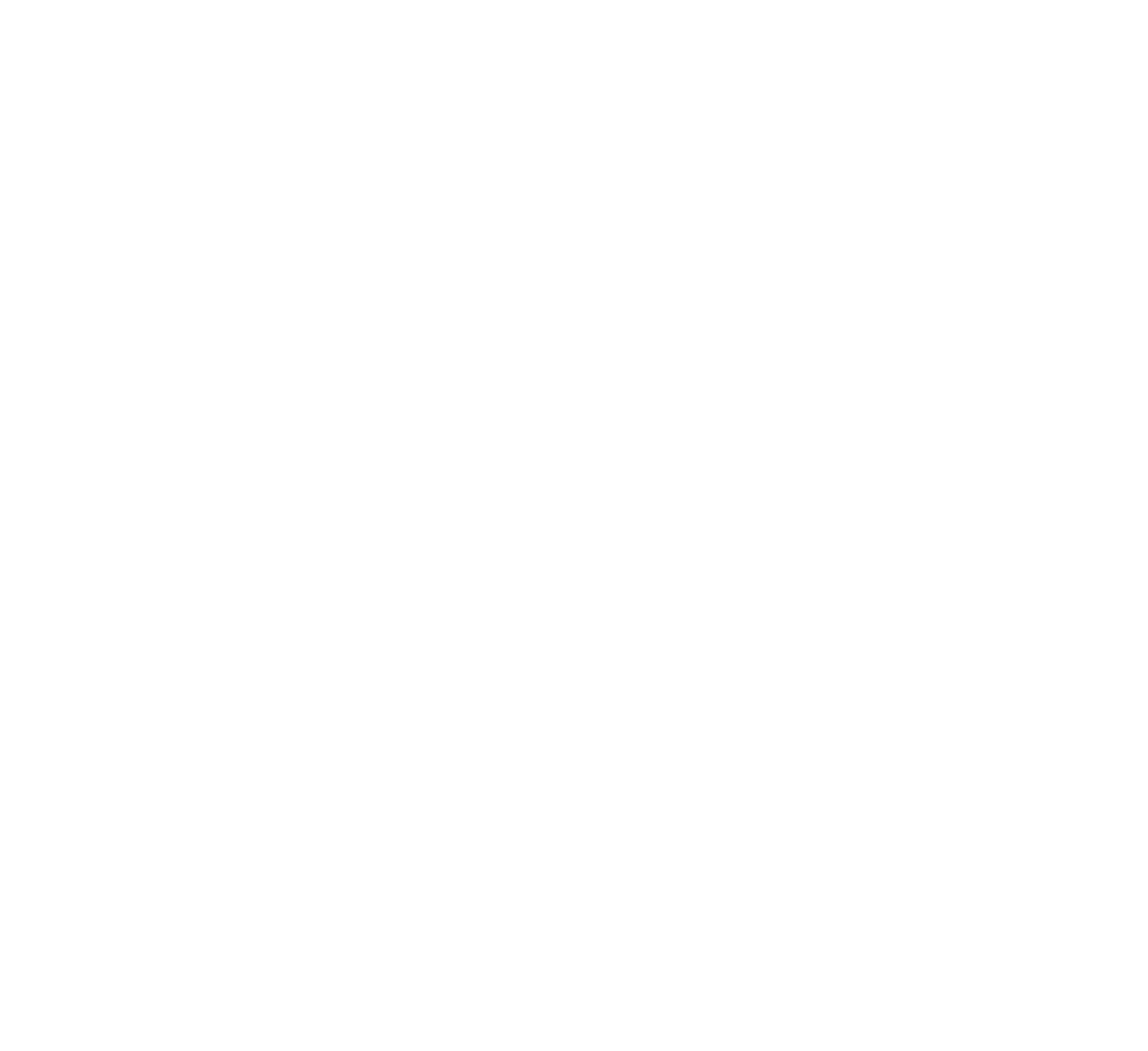 NPF Logo White