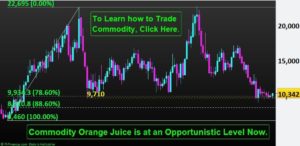 Orange-Juice-Commodity-Trading-NP-Financials-Dec-2019-Best-Trading-Education